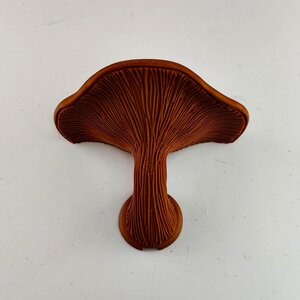 Étagère Champignon | Étagère Murale Flottante Décoration Murale Fongique | Accent Maison Moderne Imprimé en 3D Étagère Murale Unique