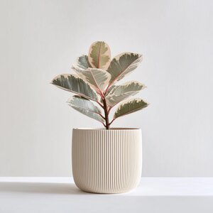 Cache-Pot Imprimé en 3D | Vase Minimaliste de Style Japonais | Pot à Plantes Intérieur Moderne