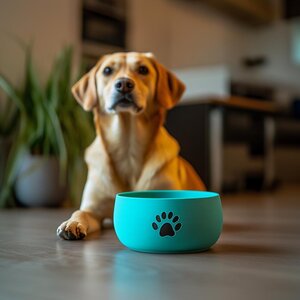 Bol pour Chien Imprimé en 3D | Bol pour Animaux Moderne | Bol à Nourriture et Eau Élégant | Distributeur Personnalisé pour Chien | Accessoires Uniques pour Animaux | Idée Cadeau pour Animaux