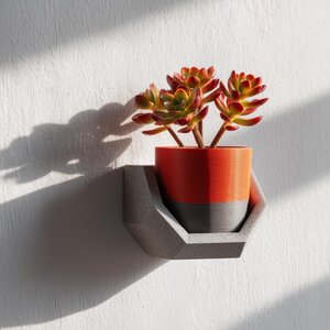 Étagère imprimée en 3D | Support d'étagère murale | Étagère flottante moderne pour plantes