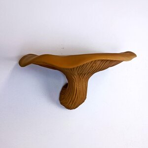 Étagère Murale Flottante Fungi | Décoration Murale Organique Champignon Imprimée en 3D | Accent Nature pour la Maison, Étagère Murale Moderne