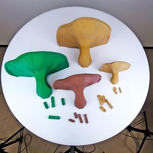 Étagère Murale Flottante Champignon | Décoration Murale Organique Imprimée en 3D | Accent Nature pour la Maison, Étagère Murale Moderne