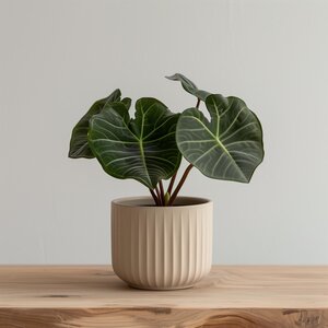 Jardinière Côtelée Imprimée en 3D | Pot de Plante Moderne et Minimaliste | Jardinière d'Intérieur Contemporaine