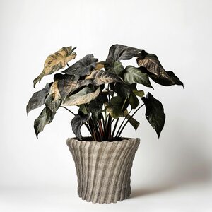 Cache-Pot Zigzag Moderne | Housse Décorative pour Pot Imprimée en 3D | Manchon pour Pot de Plante d'Intérieur | Décoration Minimaliste pour la Maison