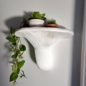 Étagère Champignon Queue de Dinde | Étagère Murale Imprimée en 3D | Étagère Flottante Sculpturale