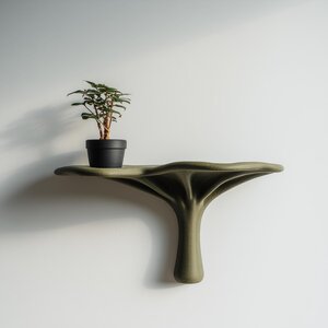 Décoration d'Étagère Murale Organique Moderne | Étagère Sculpturale Imprimée en 3D Inspirée de la Nature | Accent Contemporain Minimaliste pour Intérieurs Calmes et Élégants