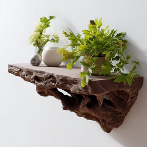 Étagère Flottante Inspirée des Racines | Étagère Murale Imprimée en 3D Marron | Rebord Mural Organique pour Plantes