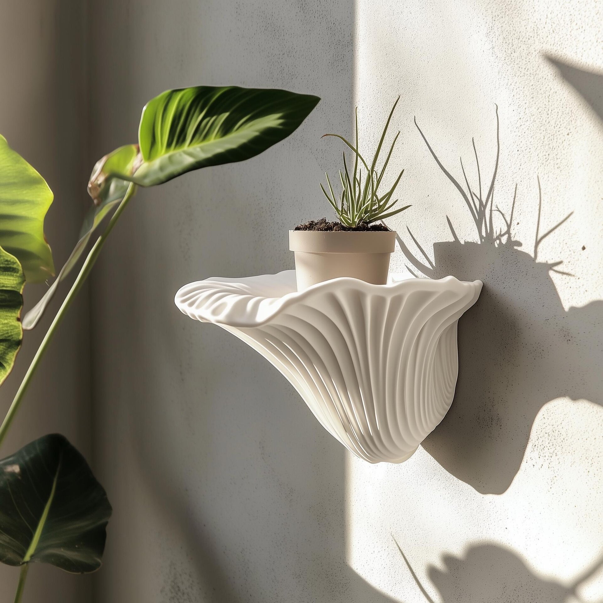 Étagère Murale Champignon Imprimée en 3D | Polypore Plat