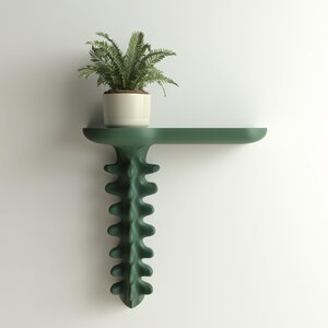 Étagère Murale Organique Imprimée en 3D | Étagère Flottante Sculpturale à Forme de Croissance | Décoration Biophilique Moderne pour Intérieurs Minimalistes et Artistiques
