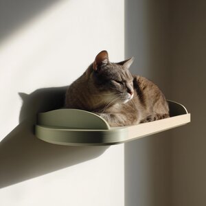 Étagère-Lit Murale pour Chat | Perchoir Mural Minimaliste Imprimé en 3D | Meuble Flottant Moderne pour le Repos et la Détente du Chat