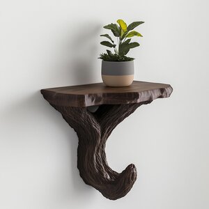 Étagère Murale Branche | Étagère Flottante pour Plantes Inspirée d'un Arbre | Déco Noire Imprimée en 3D