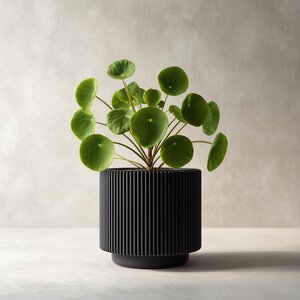 Jardinière Noire Moderne Imprimée en 3D | Pot de Plante Minimaliste à Rainures | Jardinière d'Intérieur Contemporaine